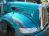 Picture of (Used) 2014 Peterbilt 386, HOOD ASSEMBLY