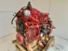 Picture of (USED) 2009 Cummins ISB 200, Complete Engine Assembly.
S/N