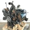 Picture of (USED) 1996 INTERNATIONAL A175. Complete Engine.
Engine Serial # N/A
Engine Family # TNV444C8DORA
Engine HP: 175
Displacement: 7.3L
CPL/AR:N/A
E.C.S.: ECM, TC, CAC, DI
Tested and Runs GREAT!!!
To find out more about this engine, give us a call. 


