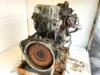 Picture of (Used) 1999 DETROIT DIESEL SERIES 60 ENGINE ASSEMBLY,
Family Number: XDDXH11.1EHL,
Horsepower: 350,
Displacement: 11.1L,
Serial Number: 06R055836,
 

