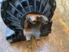 Picture of (Used) 1998 Allison (AT), TRANSMISSION ASSEMBLY