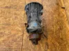 Picture of (Used) 2005 Allison (AT), TRANSMISSION ASSEMBLY