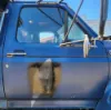 Picture of (Used) 1997 Ford F700, DOOR