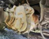 Picture of (Used) 2004 Eaton/Fuller (MT), TRANSMISSION ASSEMBLY