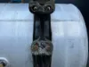 Picture of (Used) 2015 Freightliner Cascadia 125, FUEL TANK