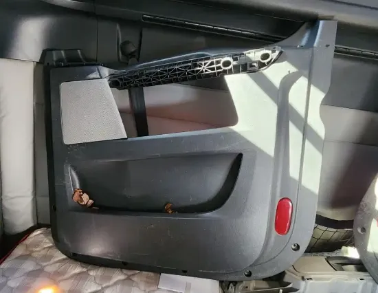 Picture of (Used) 2020 Freightliner Cascadia 126, INTERIOR DOOR PANEL