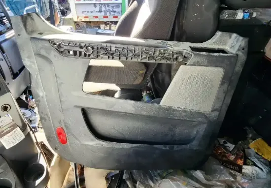 Picture of (Used) 2020 Freightliner Cascadia 126, INTERIOR DOOR PANEL