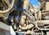 Picture of (Used) 2012 International MAXXFORCE11, ENGINE ASSEMBLY