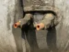 Picture of (Used) 2018 Freightliner Cascadia 126, FUEL TANK