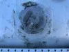 Picture of (Used) 2013 Freightliner Cascadia 125, FUEL TANK