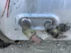 Picture of (Used) 2013 Freightliner Cascadia 125, FUEL TANK