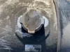 Picture of (Used) 2016 Freightliner Cascadia 125, FUEL TANK