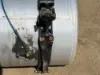 Picture of (Used) 2016 Freightliner Cascadia 125, FUEL TANK