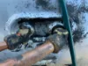 Picture of ( used ) 2012 Freightliner Cascadia 125 COMPLETE FUEL TANK