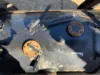 Picture of (Used) 2004 Mitsubishi FE649, COMPLETE FUEL TANK