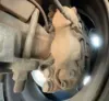 Picture of (Used) 2005 GMC C6500, COMPLETE REAR DIFFERENTIAL