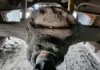 Picture of (Used) 1992 International 4600, COMPLETE REAR DIFFERENTIAL