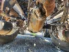 Picture of (Used) 2016 Peterbilt 567, COMPLETE FRONT DIFFERENTIAL HOUSING ONLY