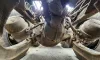 Picture of (Used) 1990 Western Star 4900, COMPLETE FRONT DIFFERENTIAL HOUSING ONLY