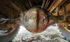 Picture of (Used) 1984 GMC C7000, COMPLETE DIFFERENTIAL HOUSING ONLY