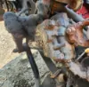 Picture of (Used) 2015 Freightliner M2 106, STEERING BOX