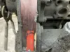 Picture of (Used) 1998 Cummins B5.9, ENGINE ASSEMBLY
