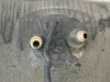 Picture of (Used) 2007 Kenworth T600, FUEL TANK