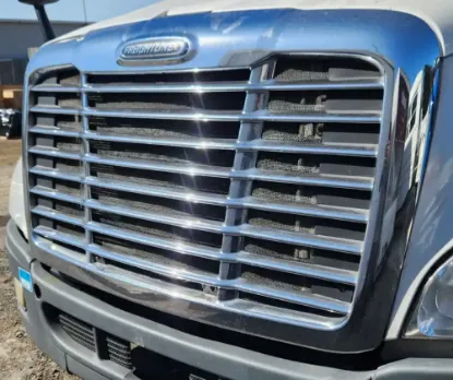 Picture of (Used) 2016 Freightliner Cascadia 125, GRILLE