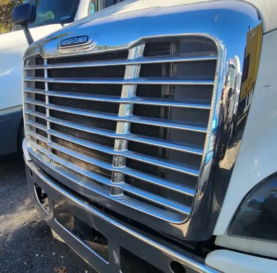 Picture of (Used) 2017 Freightliner Cascadia 113, GRILLE