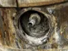 Picture of (Used) 2009 New Flyer DE40 LF, DIESEL PARTICULATE FILTER