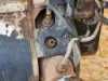 Picture of (Used) 2018 Freightliner Cascadia 125, DIESEL PARTICULATE FILTER