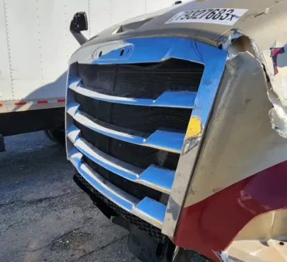 Picture of (Used) 2020 Freightliner Cascadia 126, GRILLE