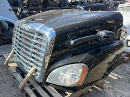 Picture of (Used) 2015 Freightliner Cascadia 113, HOOD ASSEMBLY