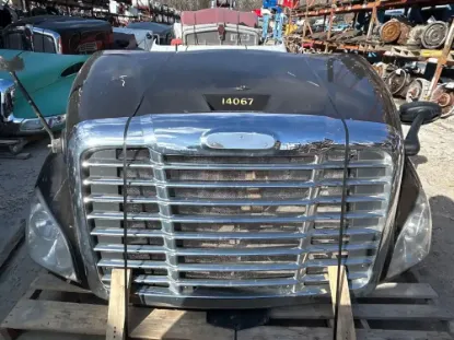 Picture of (Used) 2015 Freightliner Cascadia 113, HOOD ASSEMBLY