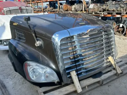 Picture of (Used) 2015 Freightliner Cascadia 113, HOOD ASSEMBLY