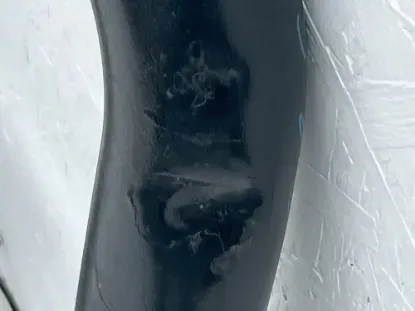 Picture of (Used) 2017 Kenworth T680, MOOSE BUMPER