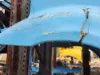 Picture of (Used) 2005 Freightliner Columbia 120, HOOD ASSEMBLY