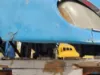 Picture of (Used) 2005 Freightliner Columbia 120, HOOD ASSEMBLY