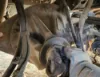 Picture of (Used) 2018 Peterbilt 337, COMPLETE REAR DIFFERENTIAL