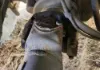 Picture of (Used) 2018 Peterbilt 337, COMPLETE REAR DIFFERENTIAL
