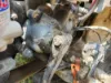Picture of (Used) 2016 Freightliner M2 106, STEERING BOX