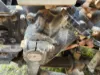 Picture of (Used) 2016 Freightliner M2 106, STEERING BOX