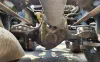 Picture of (Used) 2020 International RH613, COMPLETE FRONT DIFFERENTIAL HOUSING ONLY