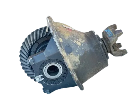 Rear Rears (Tandem Rear or Single)