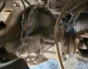 Picture of (Used) 2006 Sterling L9500, COMPLETE REAR DIFFERENTIAL GEARS ONLY