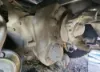 Picture of (Used) 2006 Sterling L9500, COMPLETE FRONT DIFFERENTIAL GEARS ONLY