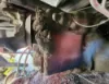 Picture of (Used) 2006 Sterling L9500, COMPLETE FRONT DIFFERENTIAL GEARS ONLY