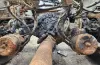Picture of (Used) 2007 Freightliner M2 106, DIFFERENTIAL HOUSING ONLY