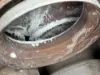 Picture of (Used) 2017 Freightliner Cascadia 113, DIESEL PARTICULATE FILTER