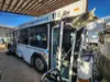 Picture of 2015-gillig-low-floor-bus-city-transit-bus